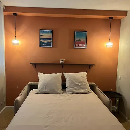 Cosy, Piscine, Parking, 5min Et Du Port, * Arcachon