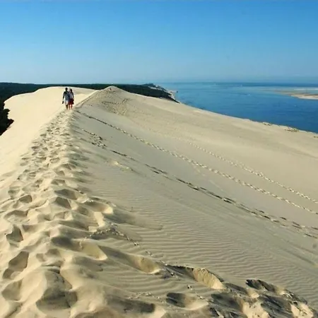 Cosy, Piscine, Parking, 5min Et Du Port, Arcachon