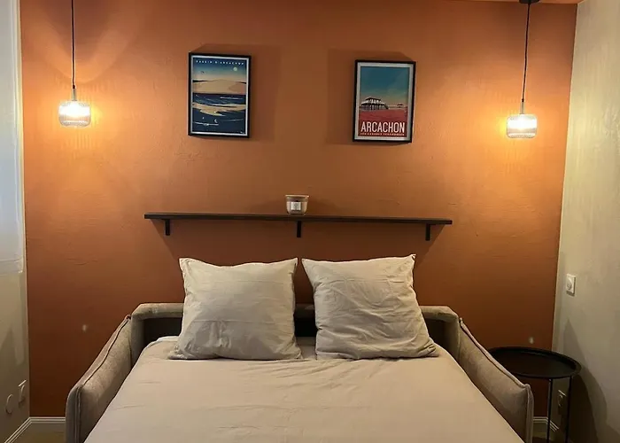 Cosy, Piscine, Parking, 5min Et Du Port, * Arcachon