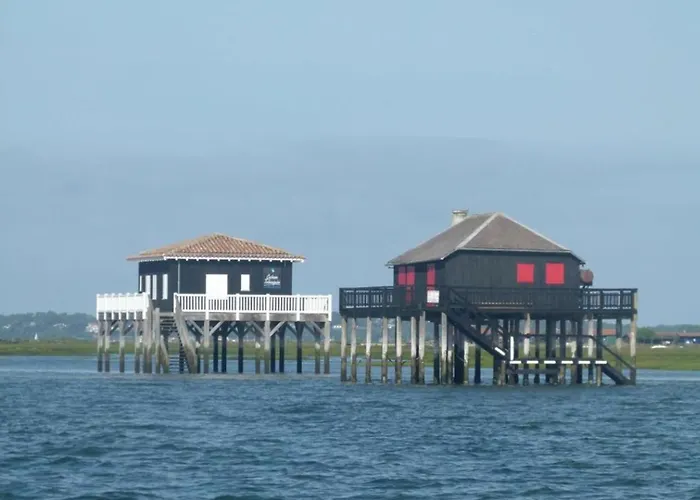 Cosy, Piscine, Parking, 5min Plage, Menage Draps Inclus * Arcachon