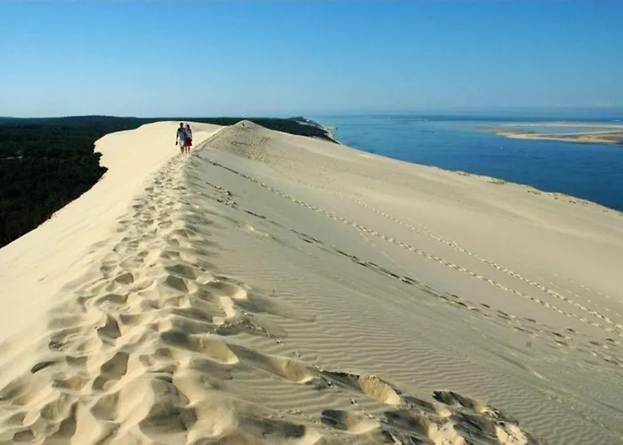 Cosy, Piscine, Parking, 5min Et Du Port, Arcachon